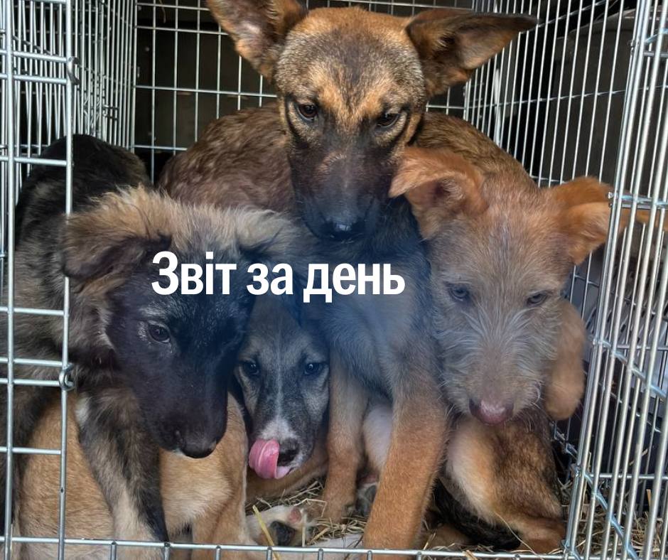 📌 1 210 день повномасштабного вторгнення