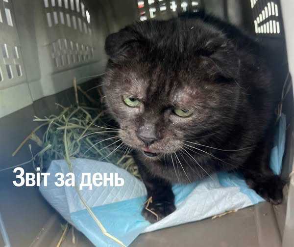 📌 1 211 день повномасштабного вторгнення