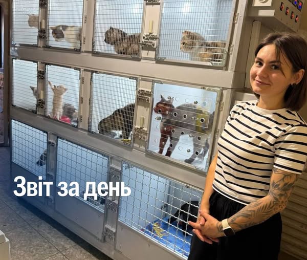 📌 1 213 день повномасштабного вторгнення