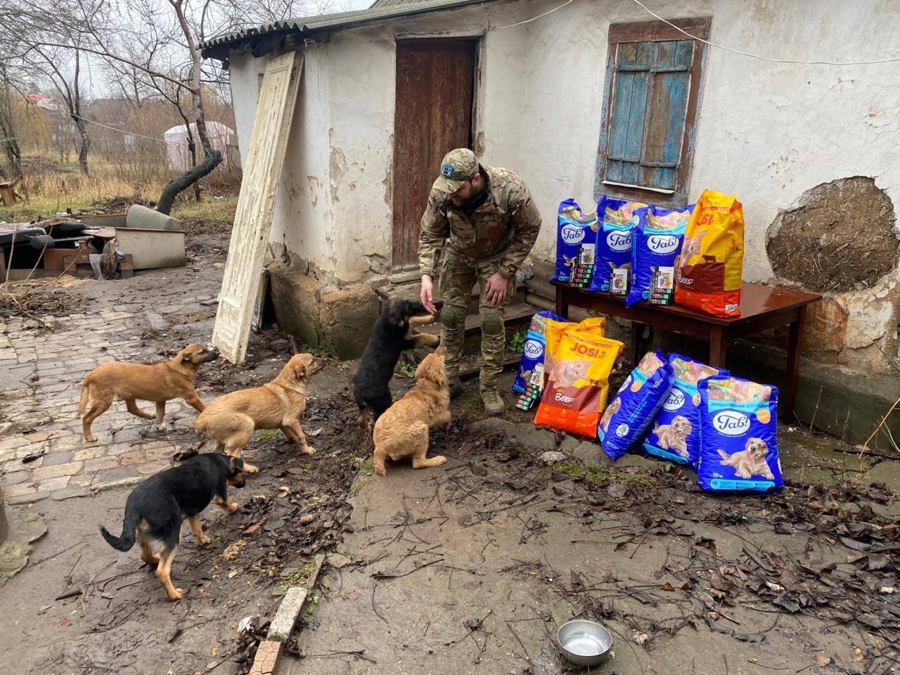 Допоможіть купити корм і обробки тваринам, які живуть із військовими  🐾