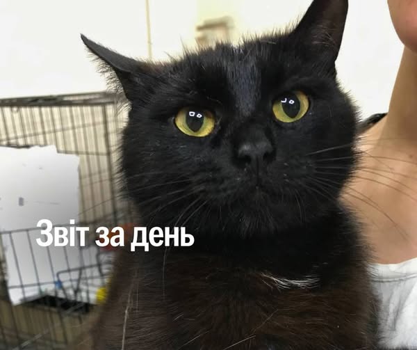 📌 1 217 день повномасштабного вторгнення