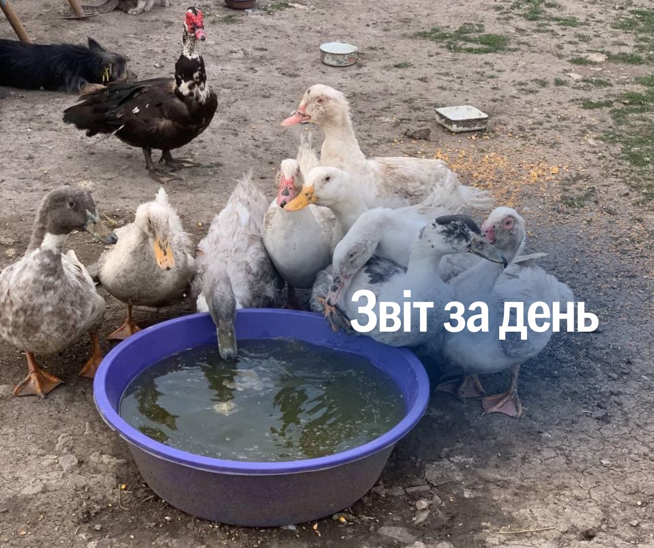 📌 1 222 день повномасштабного вторгнення