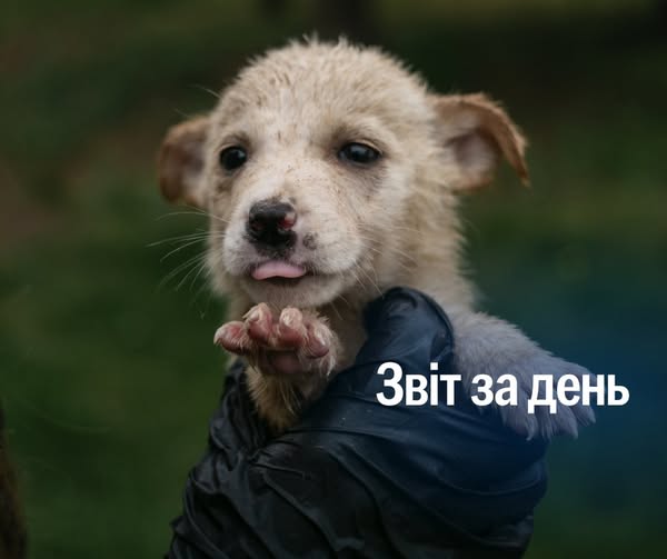 📌 1 219 день повномасштабного вторгнення