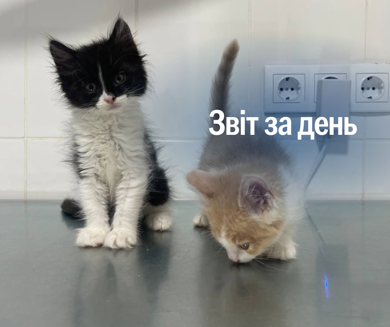 📌 1 221 день повномасштабного вторгнення