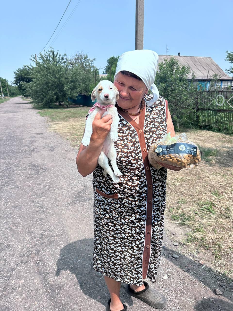 Саме сюди військові везуть тварин, рятуючи від голоду й смерті ❤️‍🩹🤝