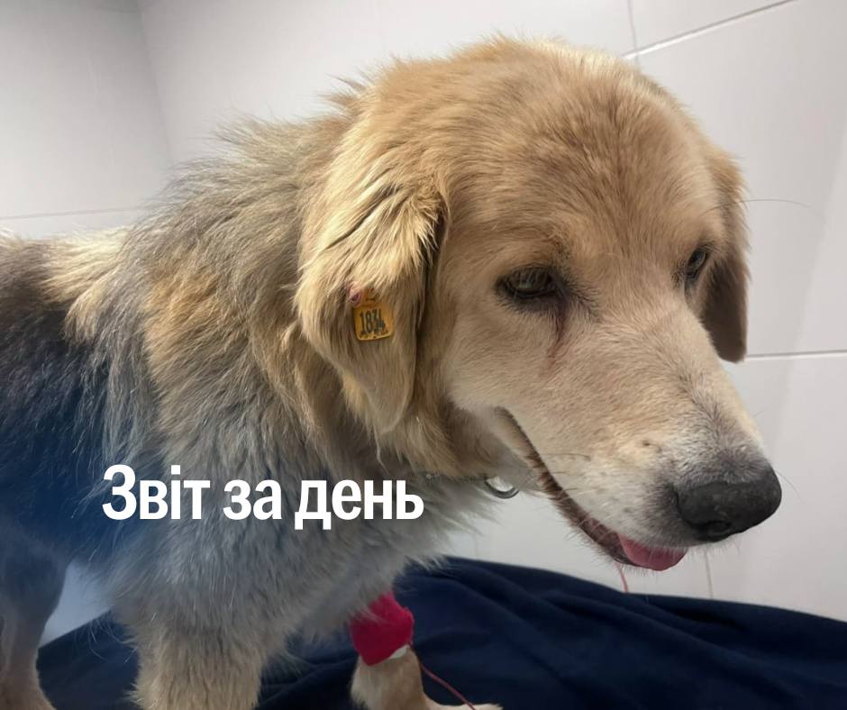 📌 1 231 день повномасштабного вторгнення