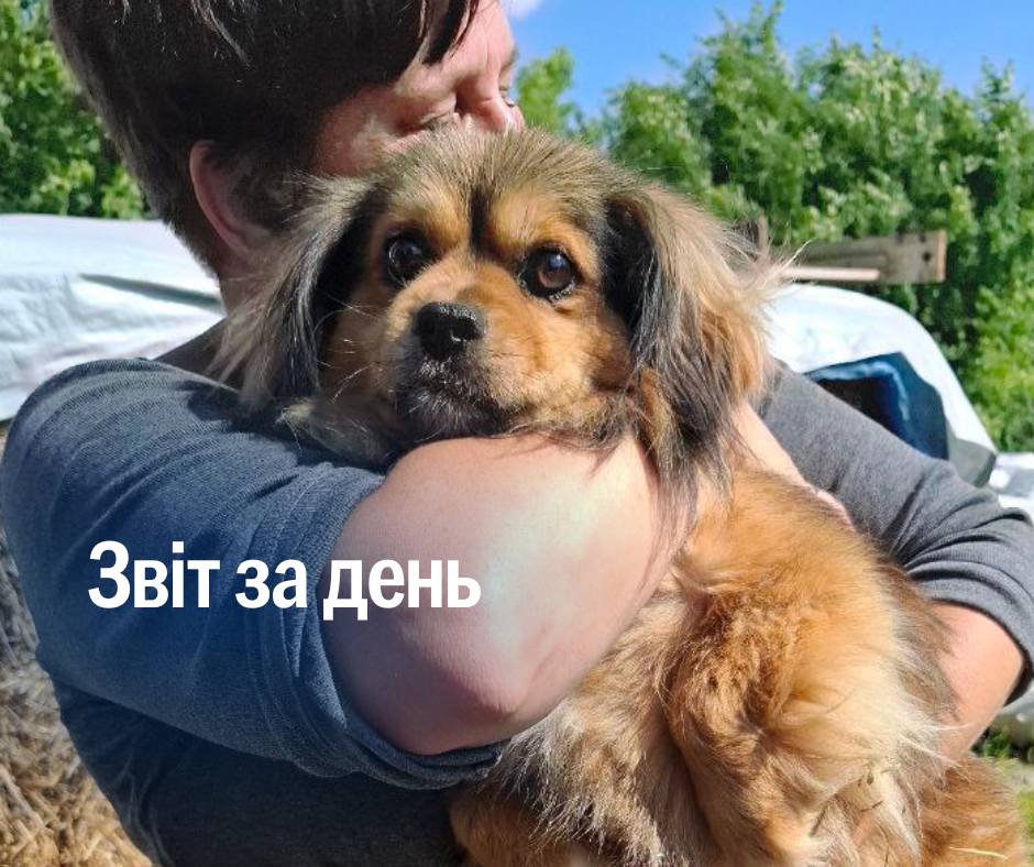 📌 1 233 день повномасштабного вторгнення