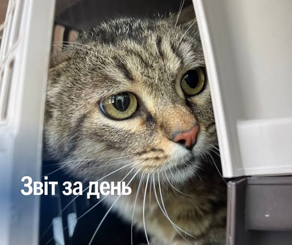 📌 1 225 день повномасштабного вторгнення