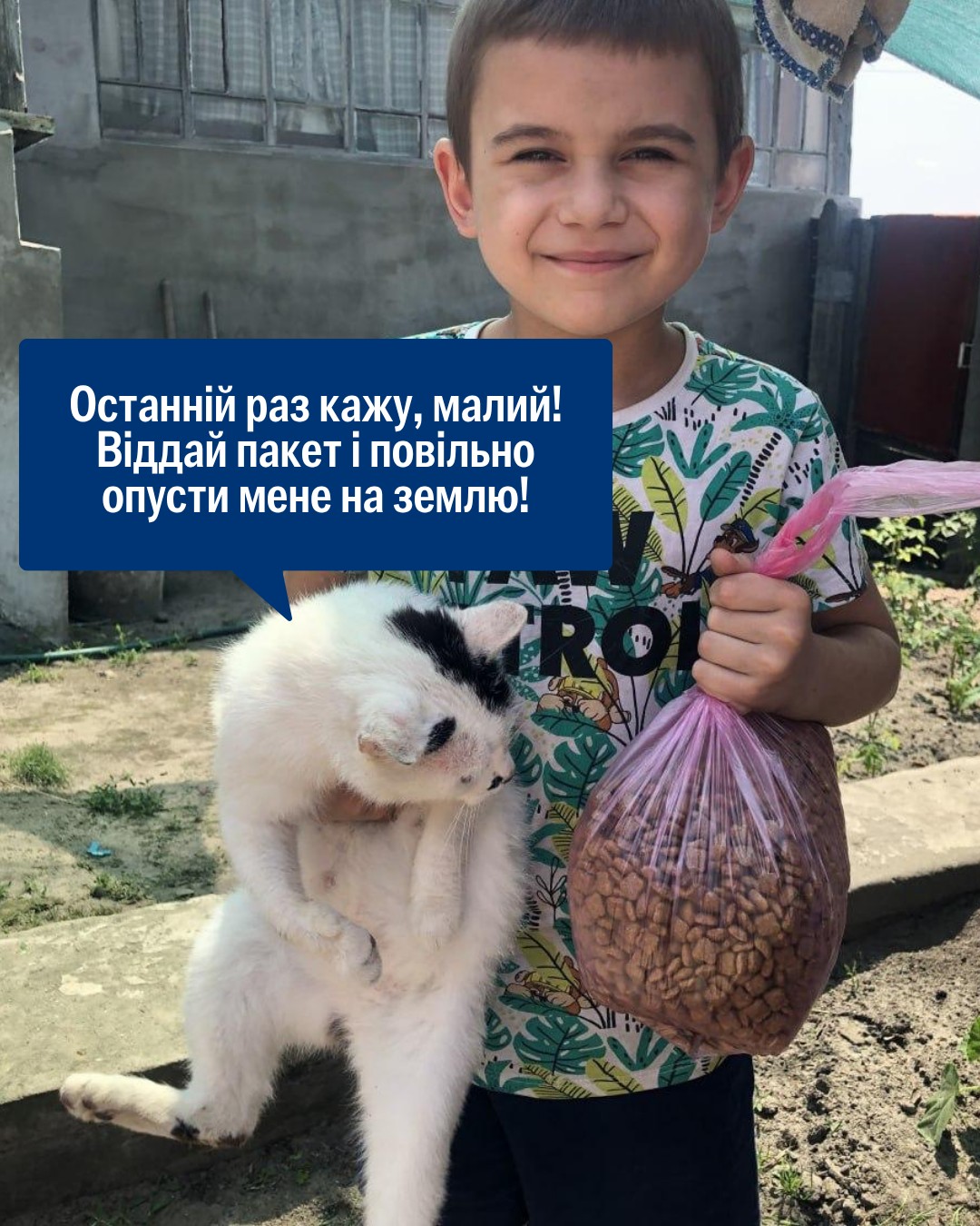 Коти не жартують, коли йдеться про корм 😁