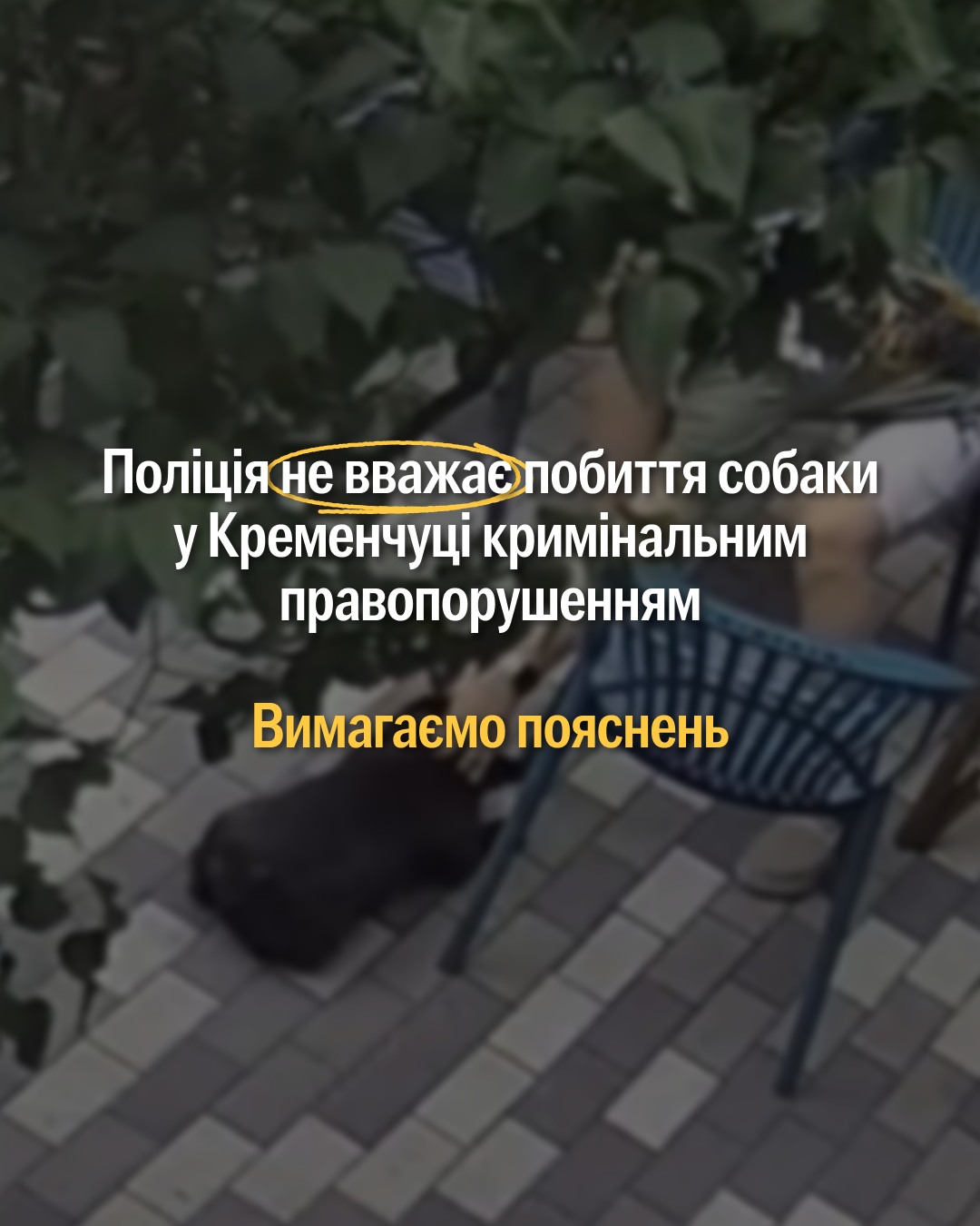 UPD: Друзі, поліція вже розпочала досудове розслідування, але за першою частиною 299 статті Кримінального кодексу