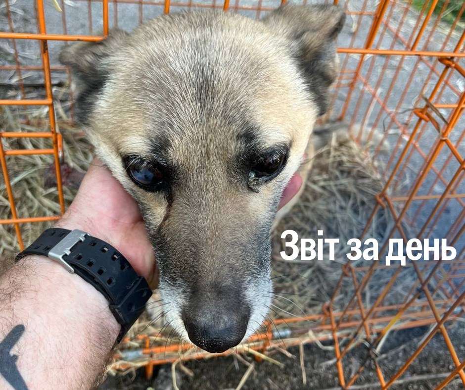 📌 1 234 день повномасштабного вторгнення