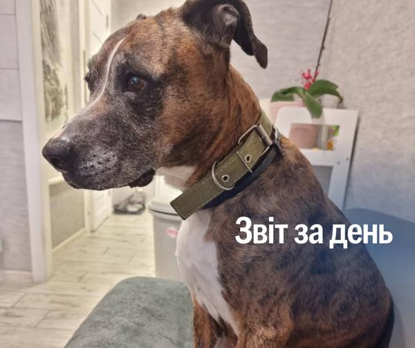📌 1 226 день повномасштабного вторгнення
