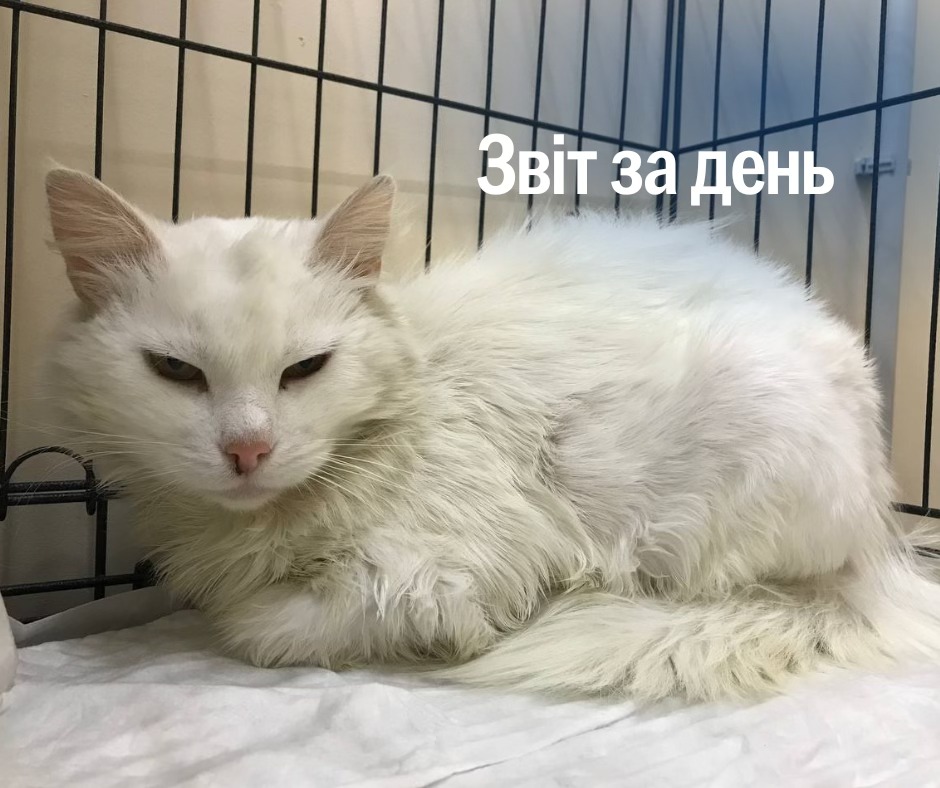 📌 1 237 день повномасштабного вторгнення