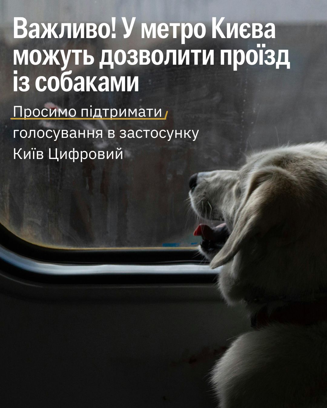 Просимо підтримати голосування щодо зміни правил перевезення собак у київському метро! 🙌