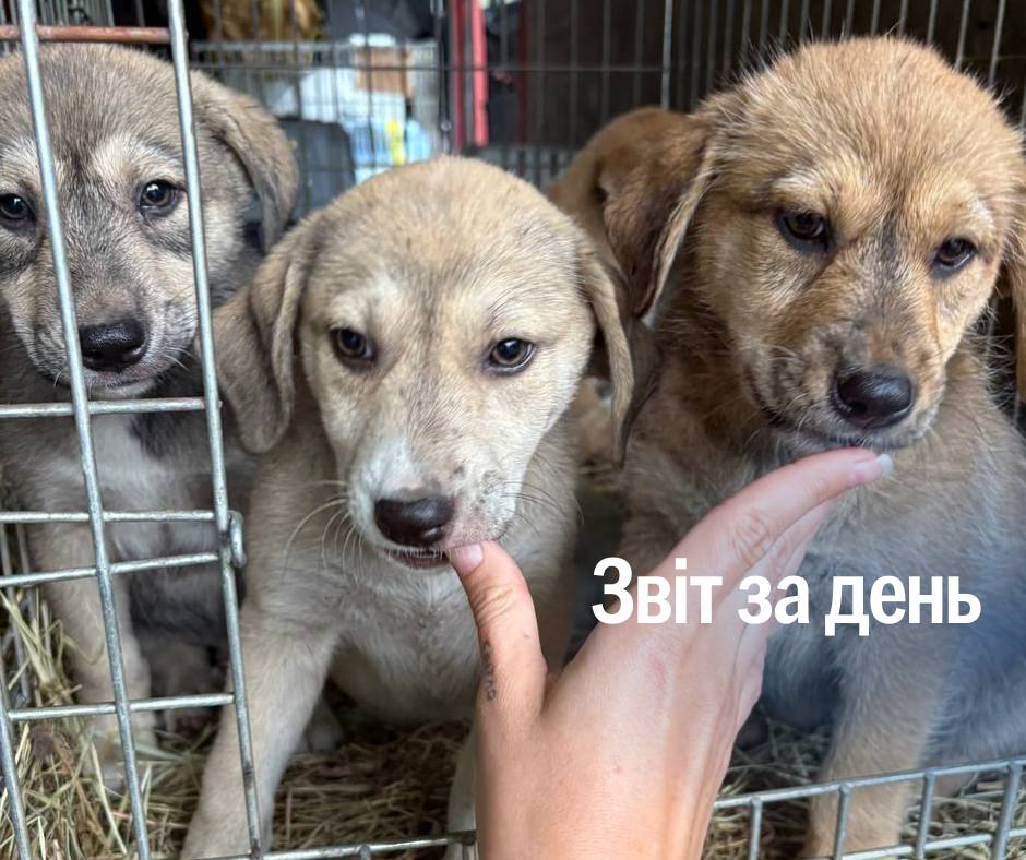 📌 1 240 день повномасштабного вторгнення