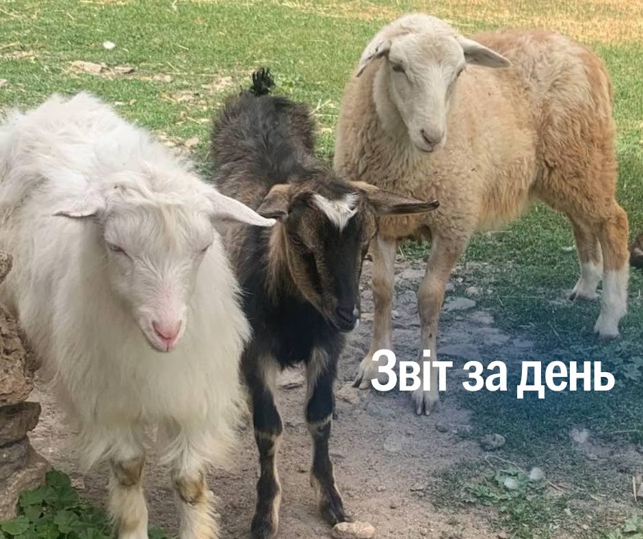 📌 1 238 день повномасштабного вторгнення