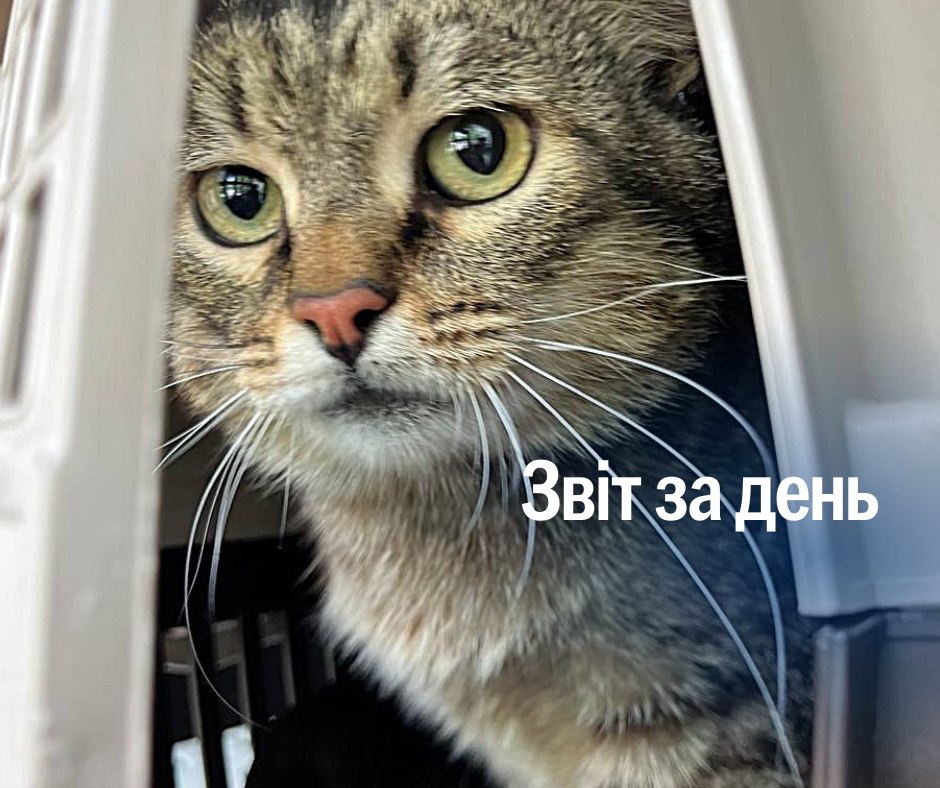📌 1 246 день повномасштабного вторгнення