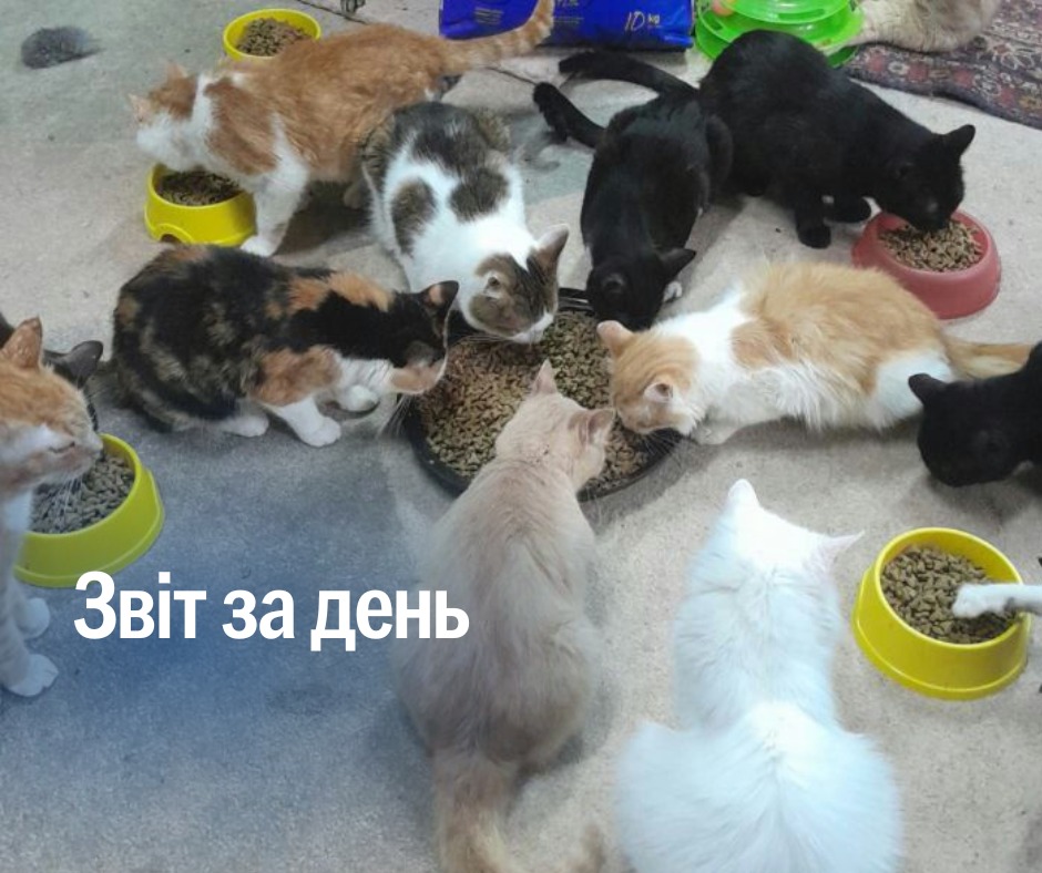 📌 1 242 день повномасштабного вторгнення