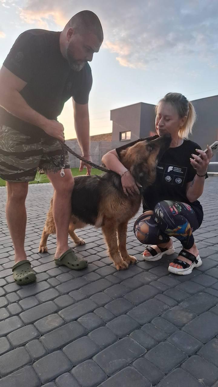 Одна заплутана історія порятунку, де були задіяні UAnimals, Жигуль, чотири собаки та паспортний стіл Костянтинівки 🤭