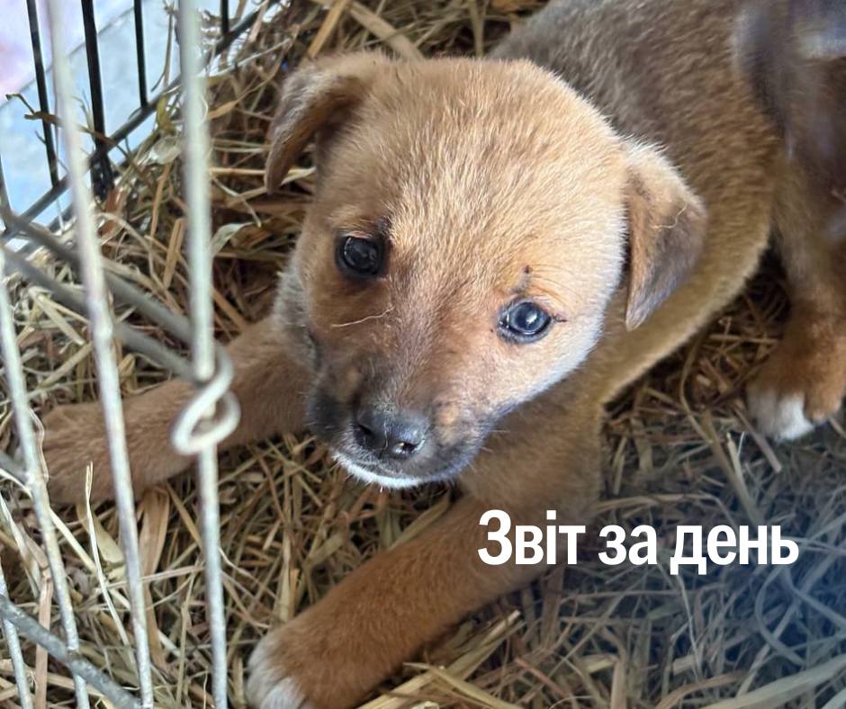 📌 1 241 день повномасштабного вторгнення
