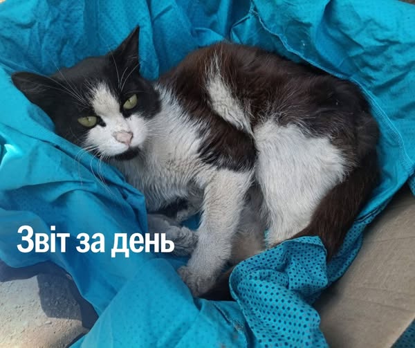 📌 1 249 день повномасштабного вторгнення