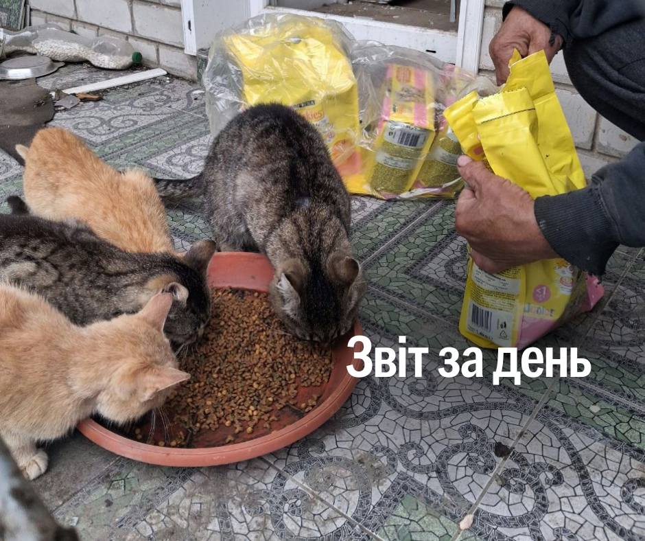 📌 1 252 день повномасштабного вторгнення