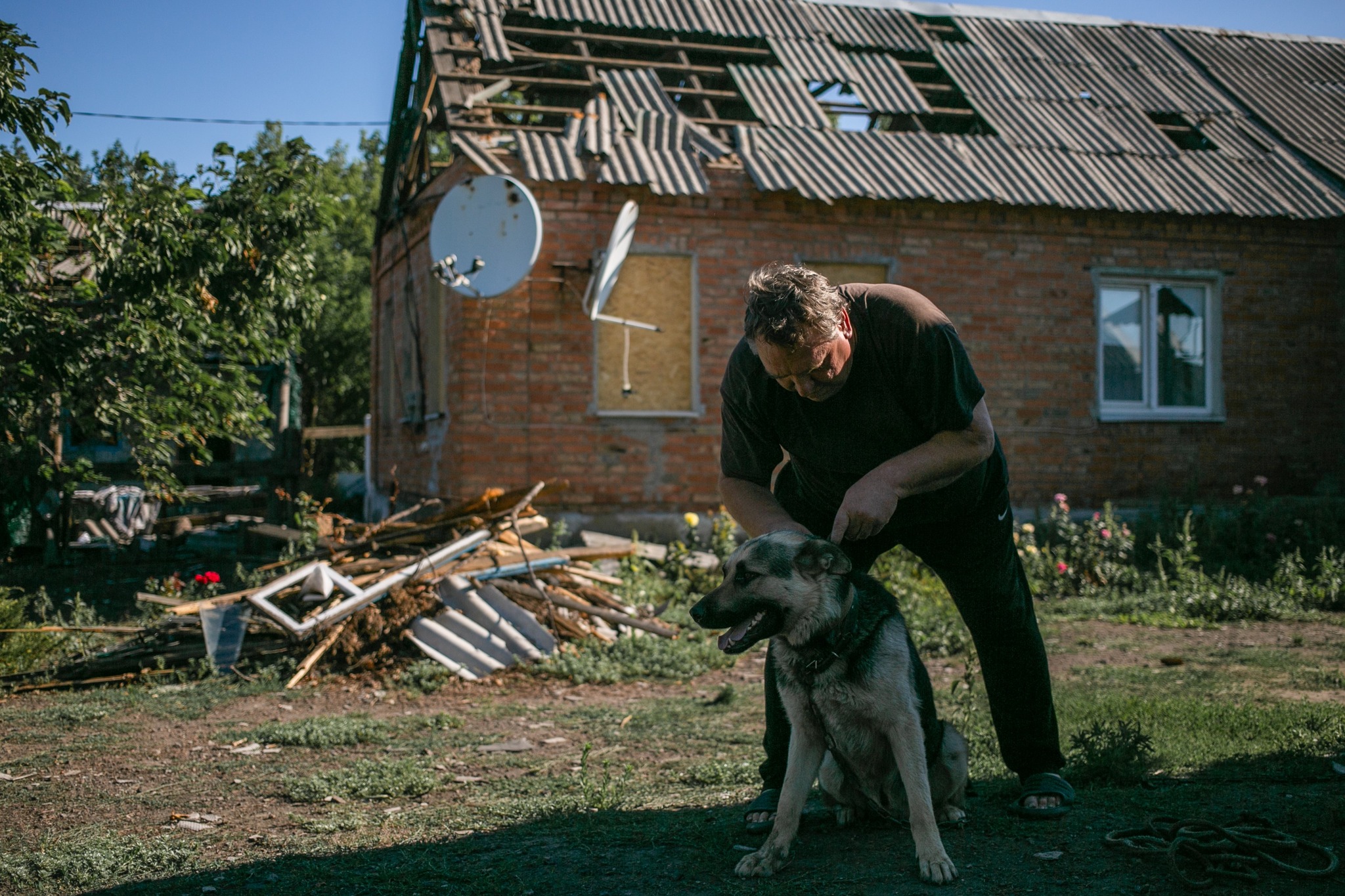 Ці тварини більше не мають дому 💔