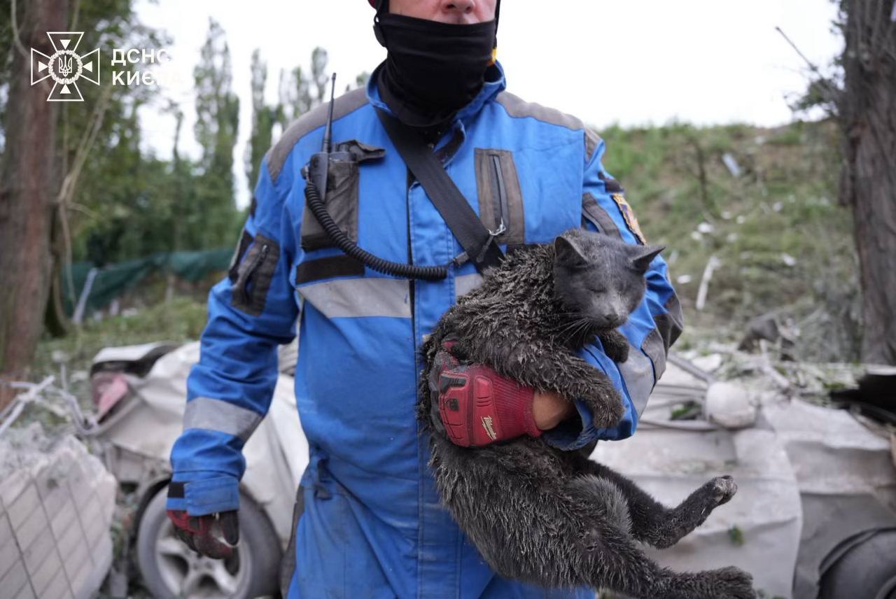 На фото — рятувальник несе кота, який постраждав після російського обстрілу 😭💔