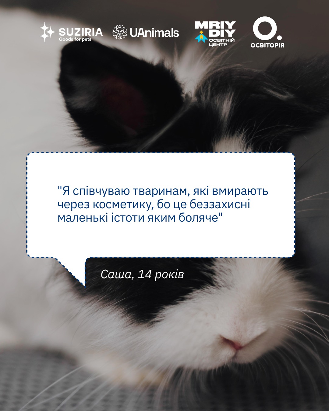 Провели перший урок з Гуманної освіті для учнів середньої школи ❤️‍🔥🐾
