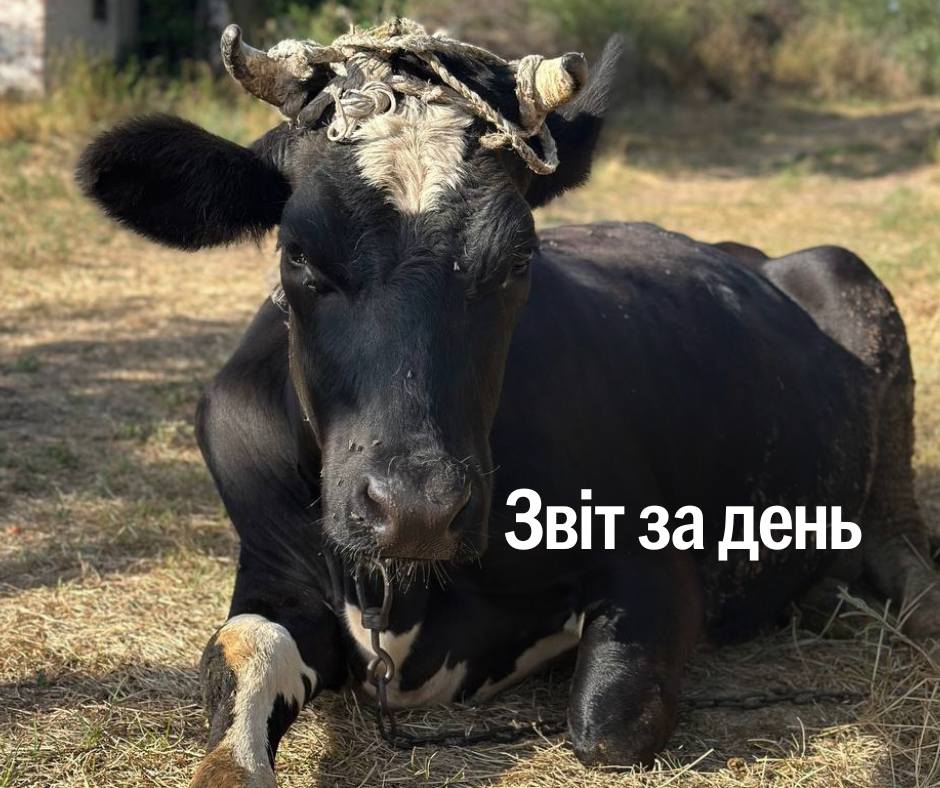 📌 1 255 день повномасштабного вторгнення