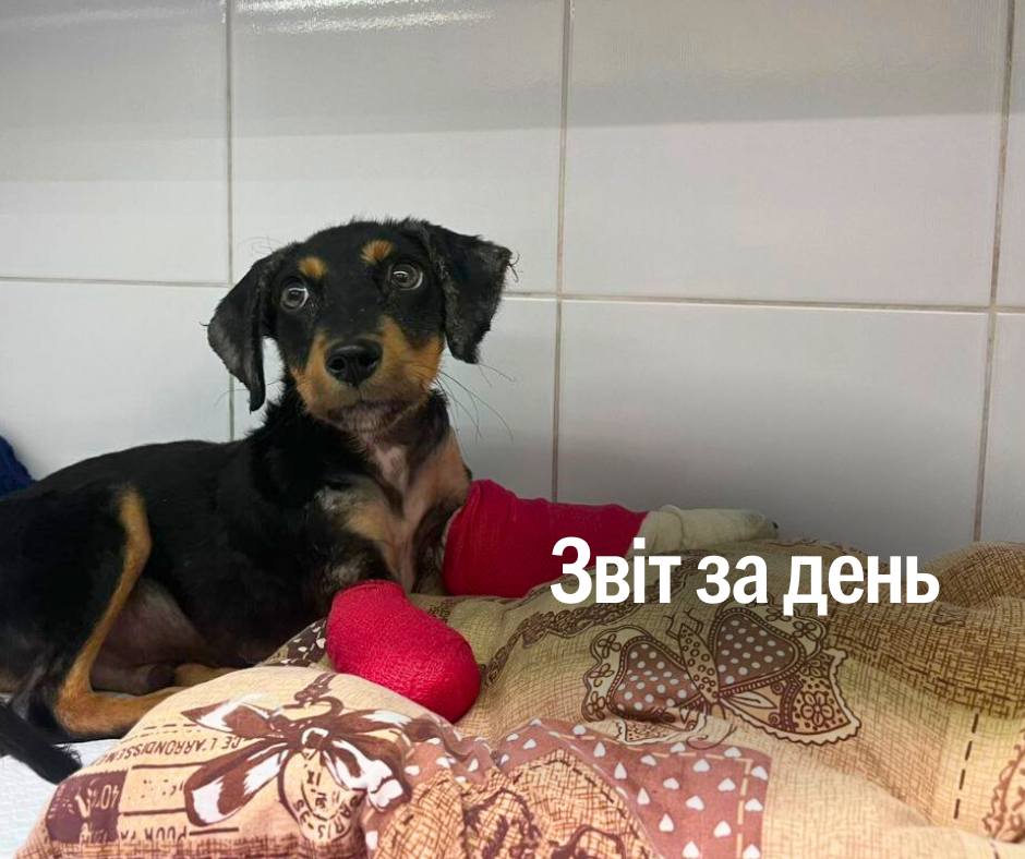 📌1 274 день повномасштабного вторгнення
