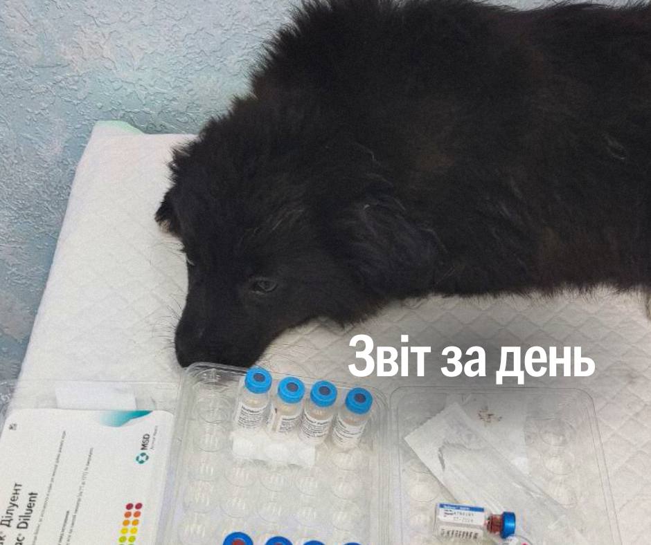 📌 1 260 день повномасштабного вторгнення