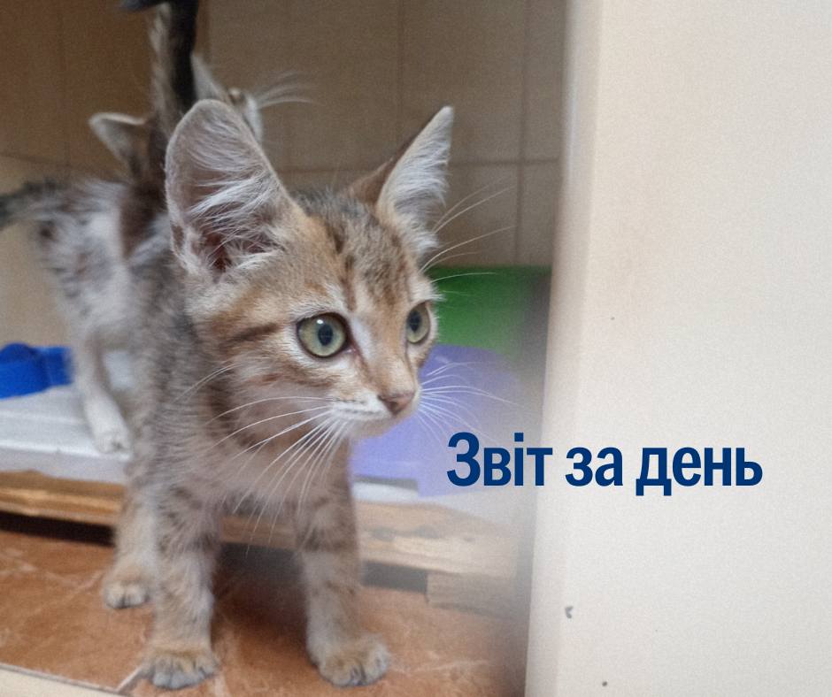 📌 1 256 день повномасштабного вторгнення
