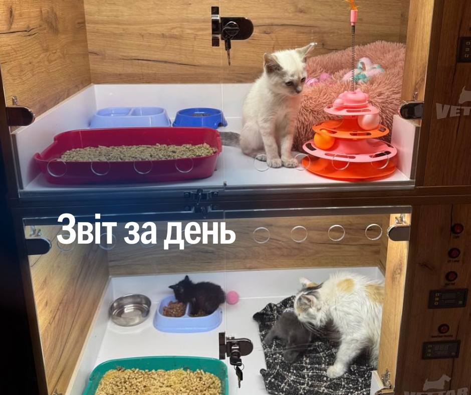 📌 1 258 день повномасштабного вторгнення