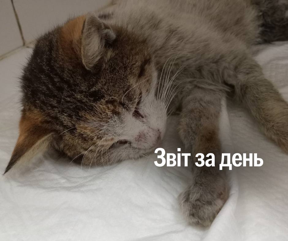 📌 1 257 день повномасштабного вторгнення