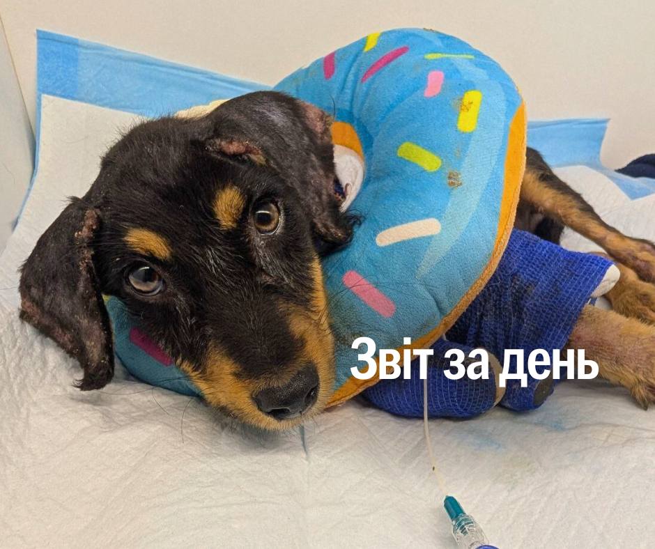 📌 1 261 день повномасштабного вторгнення