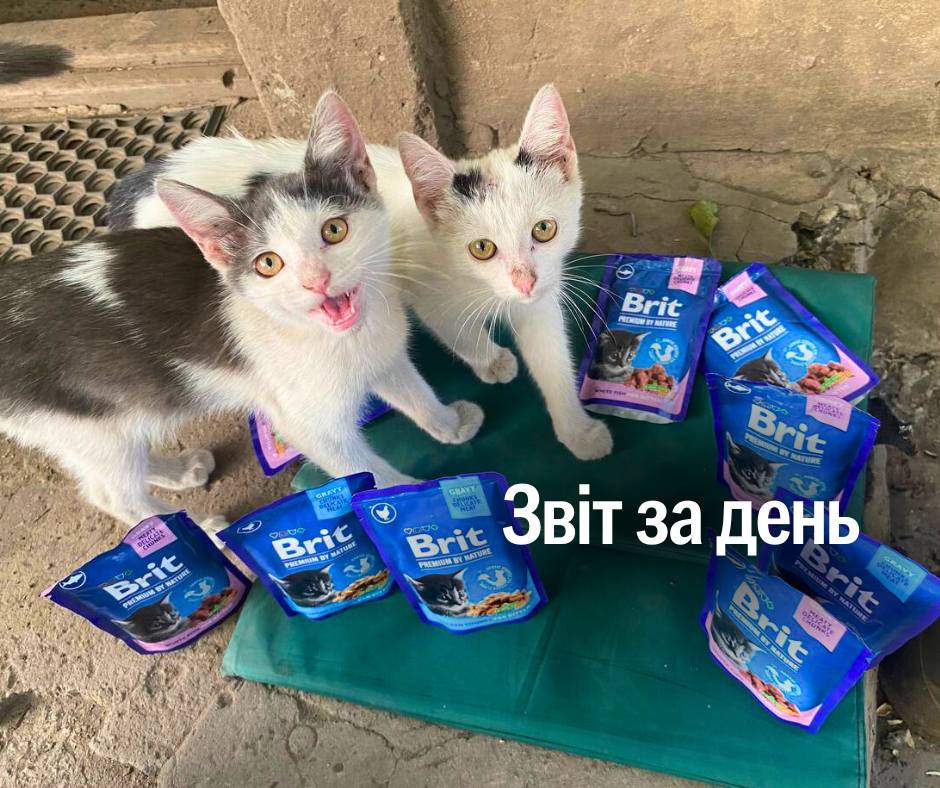 📌 1 262 день повномасштабного вторгнення