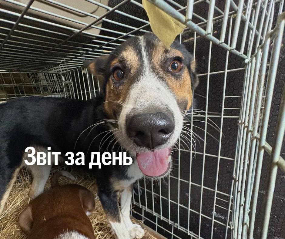 📌 1 265 день повномасштабного вторгнення