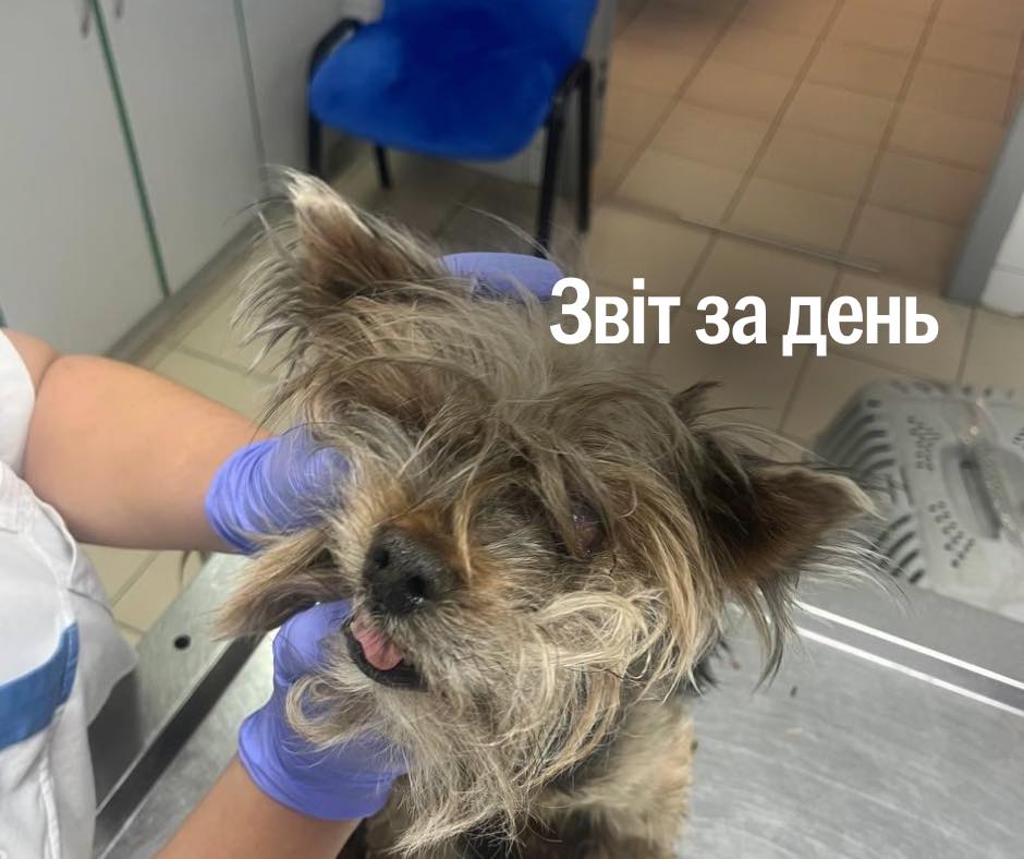 📌 1 264 день повномасштабного вторгнення
