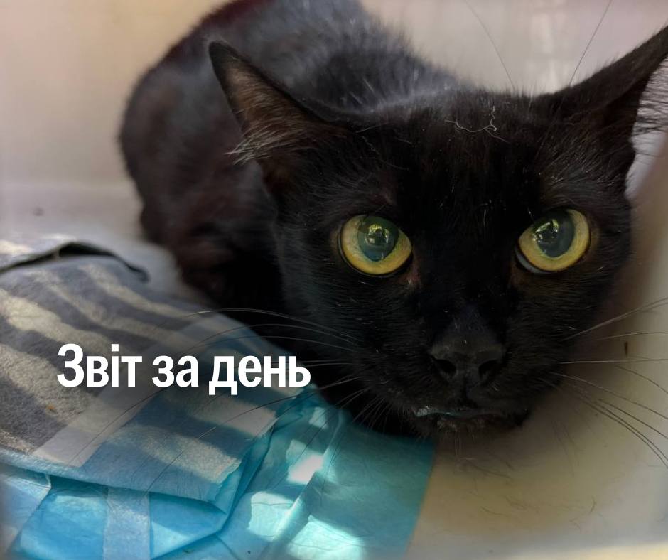 📌 1 266 день повномасштабного вторгнення