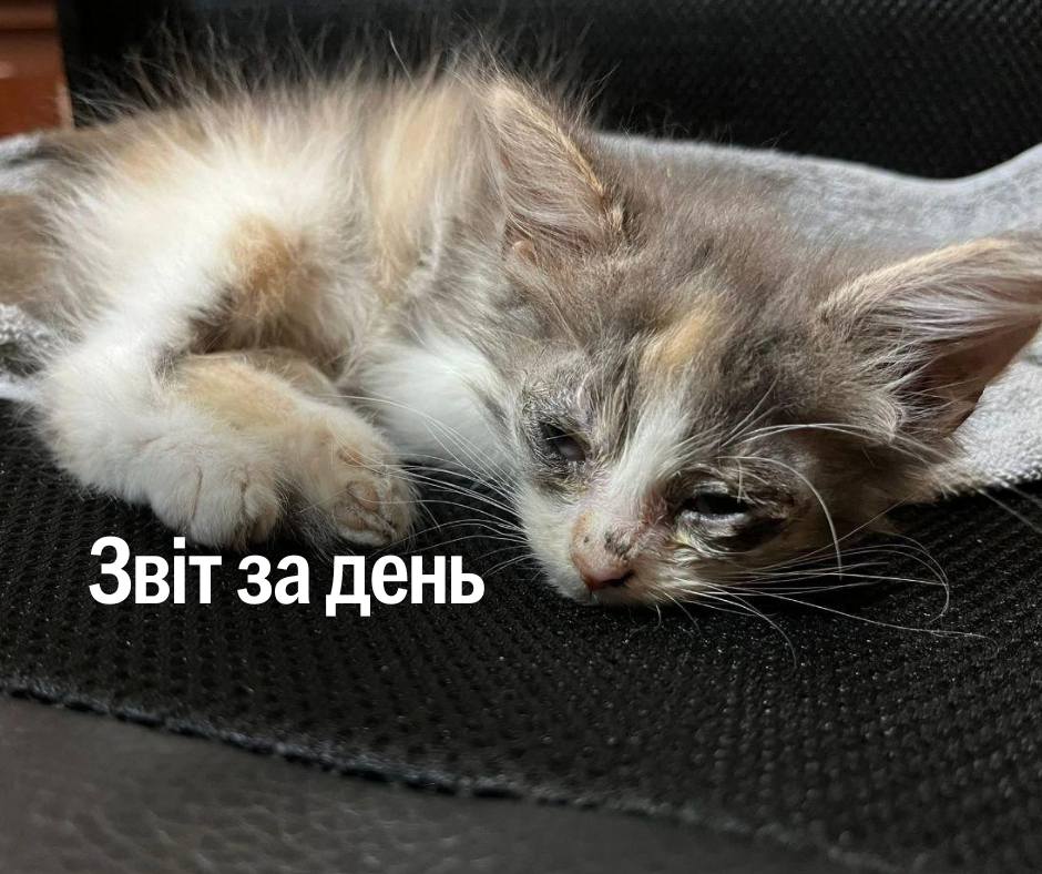 📌 1 269 день повномасштабного вторгнення