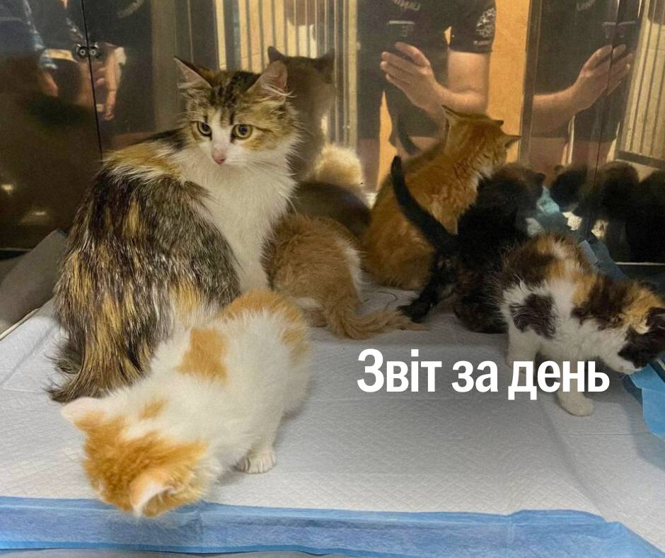 📌 1 273 день повномасштабного вторгнення