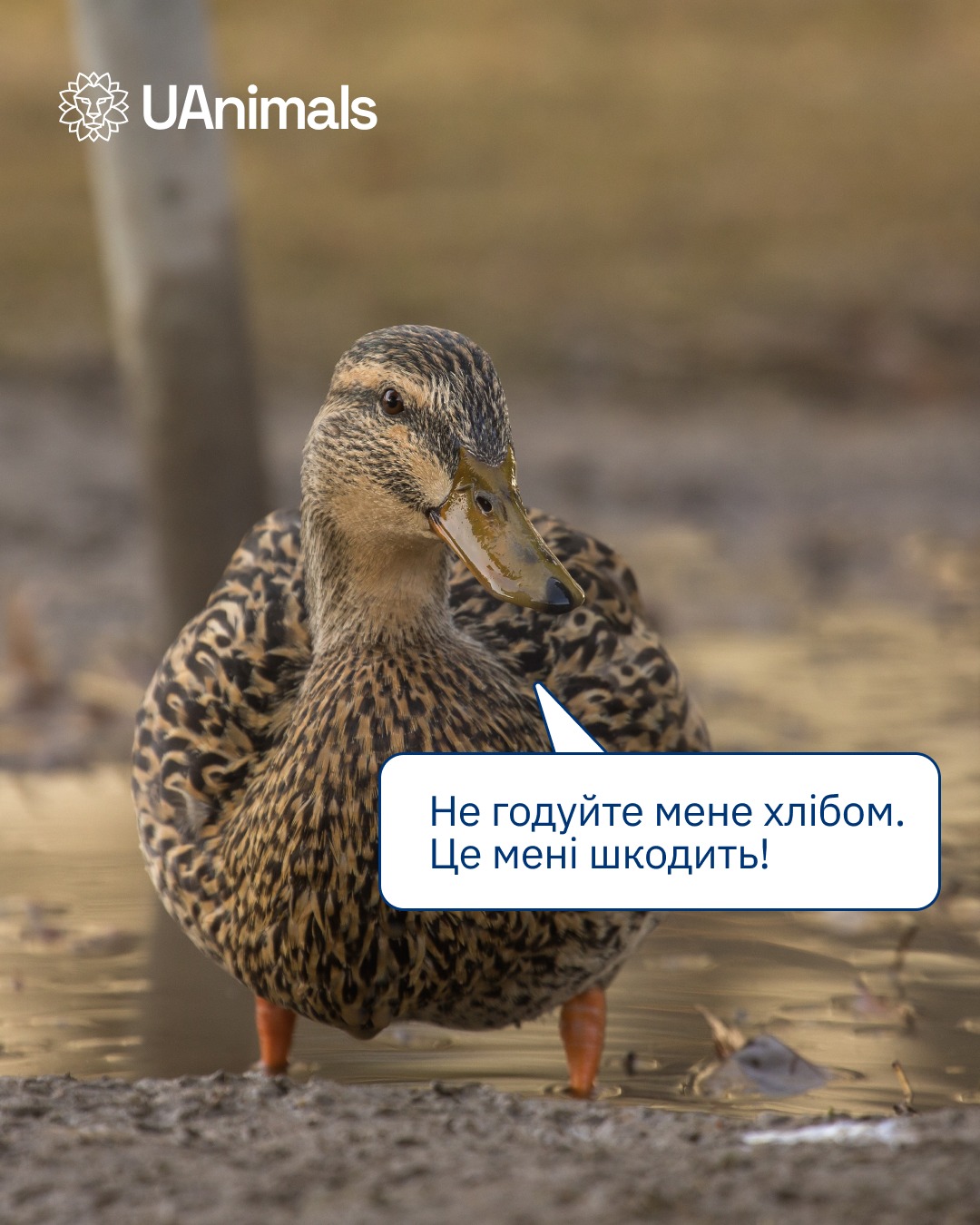 Нарешті вихідні!