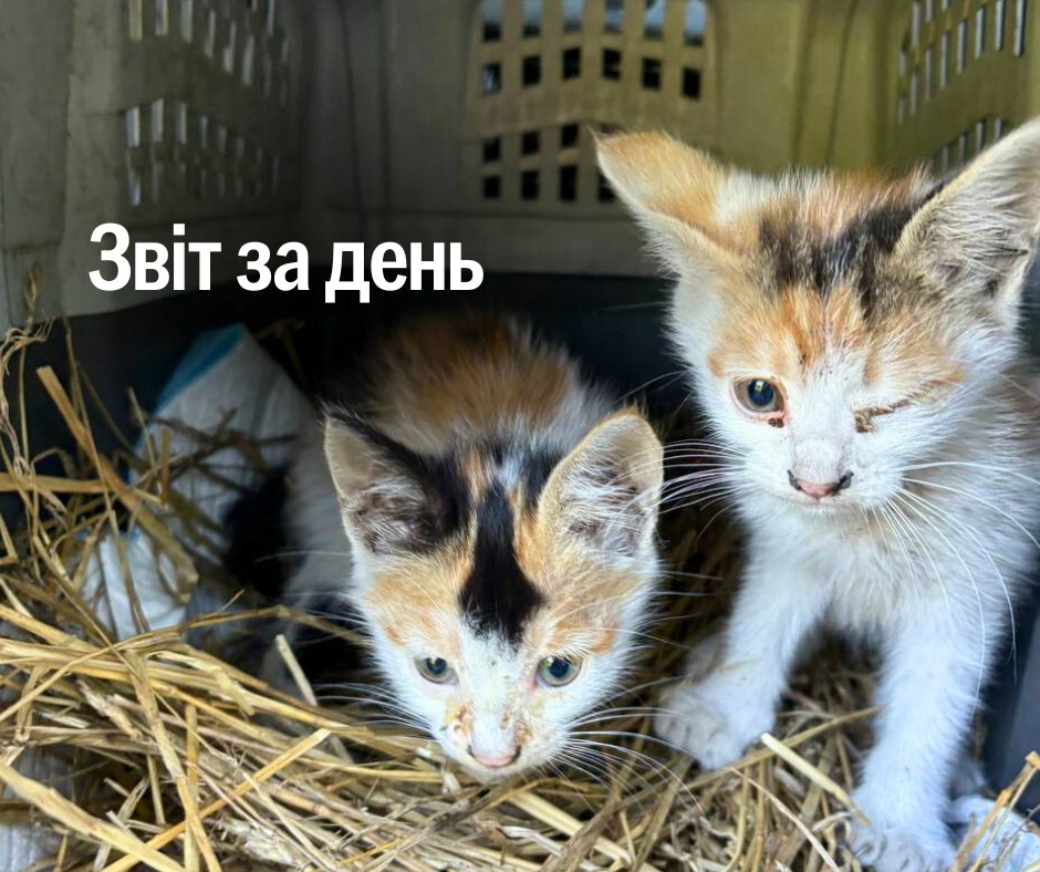 📌1 275 день повномасштабного вторгнення
