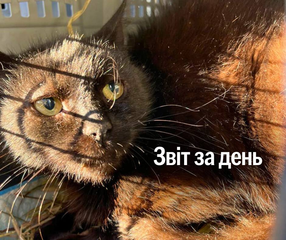 📌 1 279 день повномасштабного вторгнення