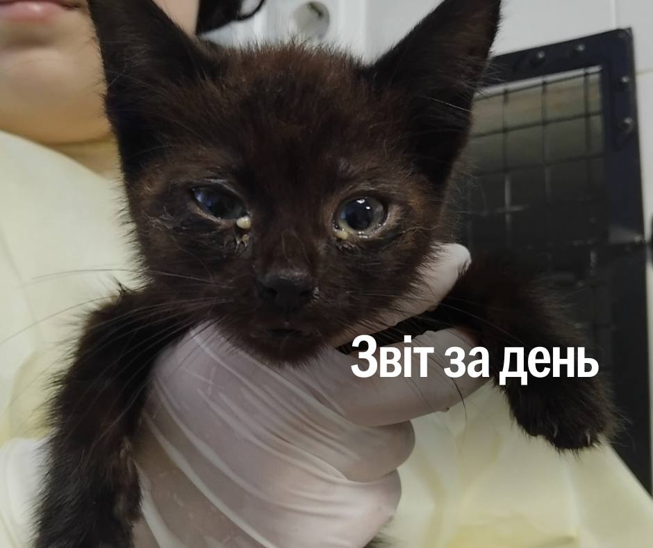 📌1 276 день повномасштабного вторгнення