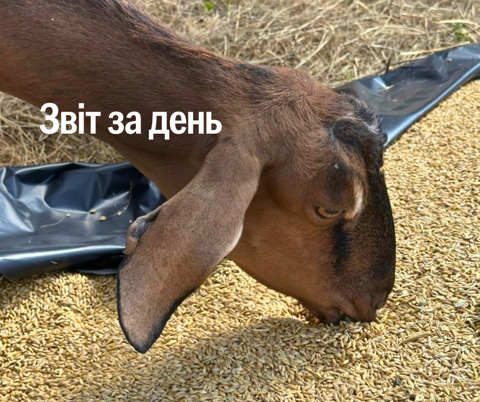 📌 1 281 день повномасштабного вторгнення