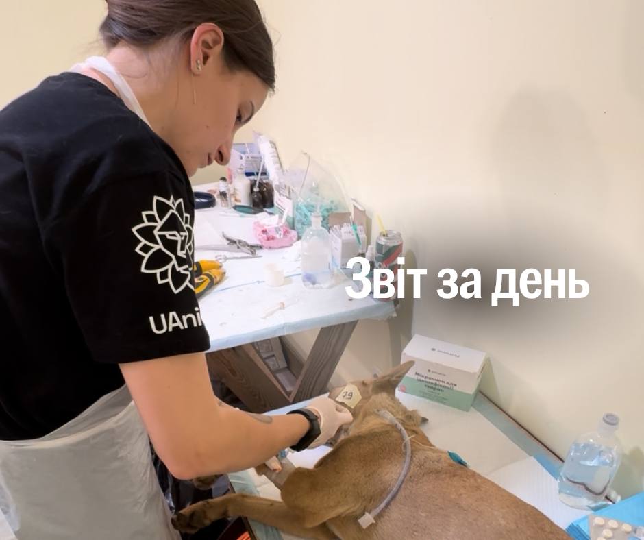 📌 1 277 день повномасштабного вторгнення