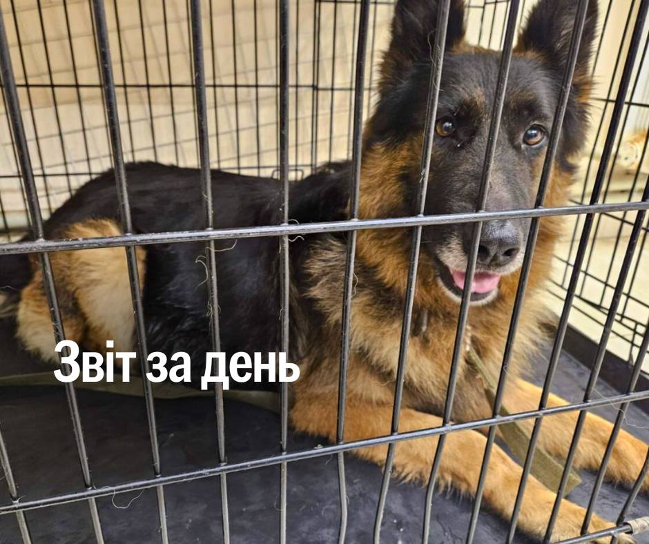 📌 1 280 день повномасштабного вторгнення