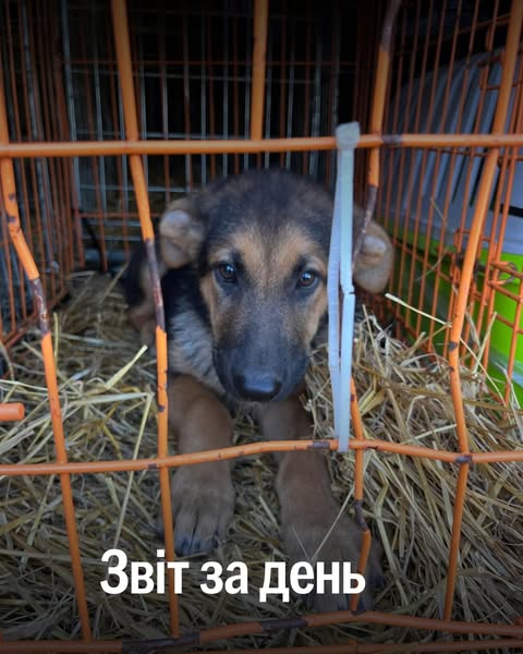 📌 1 285 день повномасштабного вторгнення